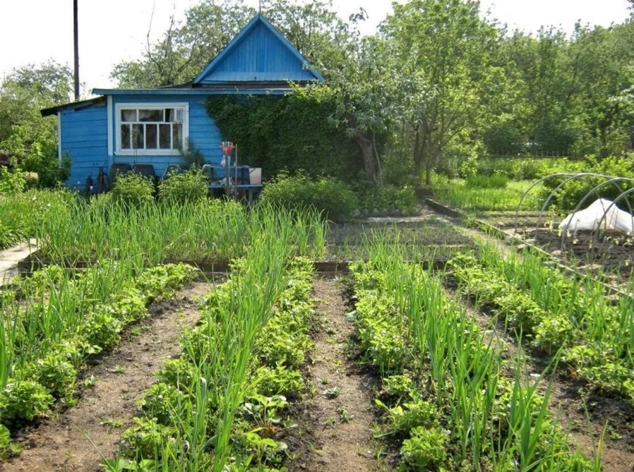 Дом на ладони