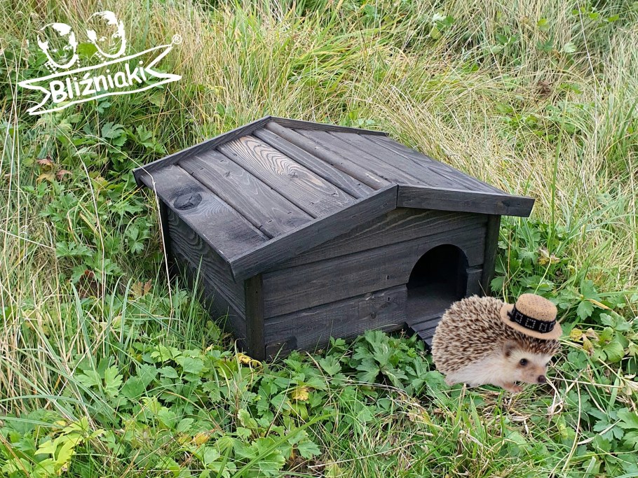 Дом для ежика на даче