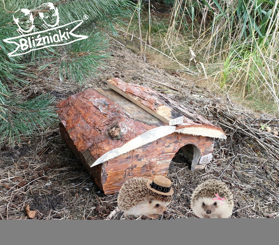 Деревянный дом для ежа