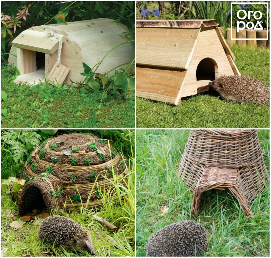 Домик для Ёжика на даче