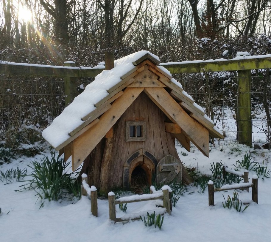 Домик для ежика африканского