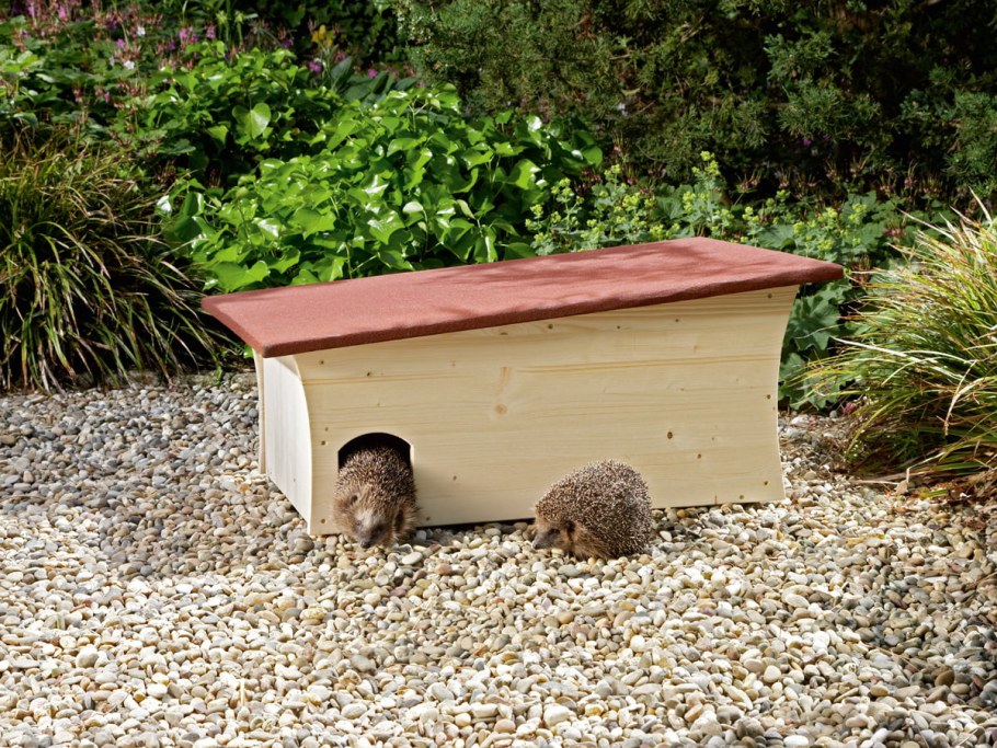 Домик для ежиков на участке