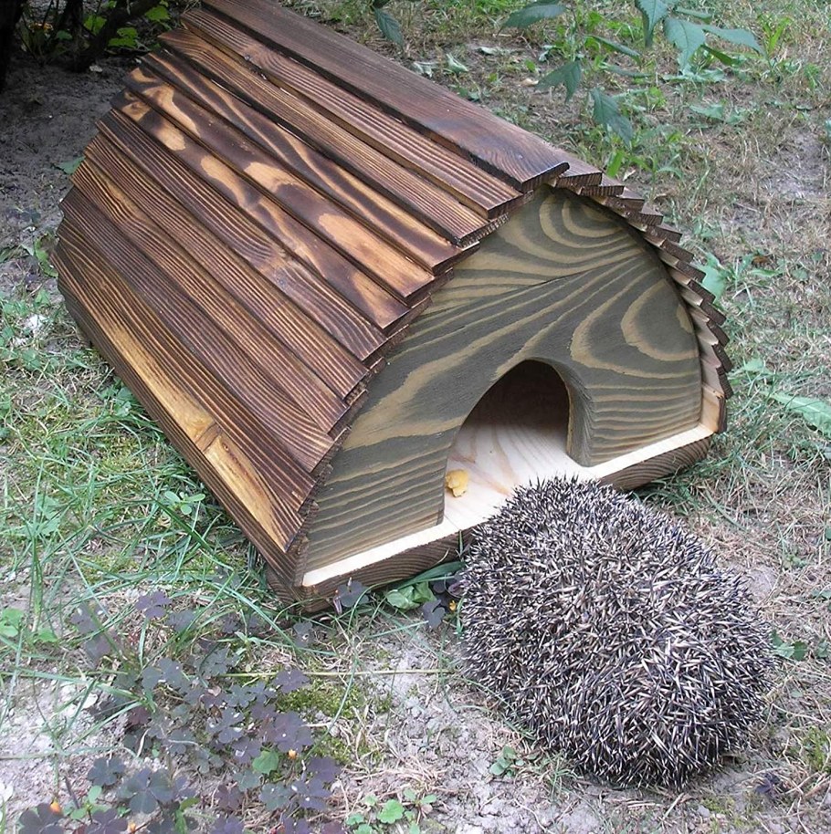 Контейнер для ежа