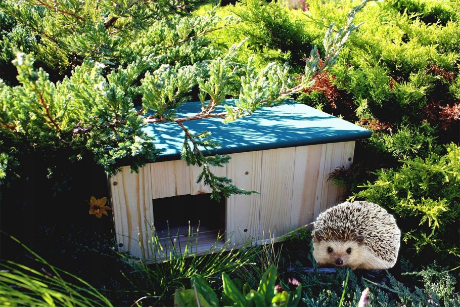 Домики для ежей в саду