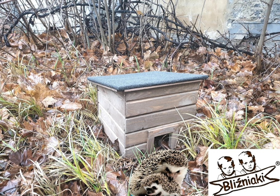 Домик для ежей