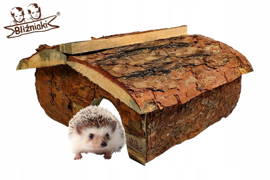 Нора ежа в природе