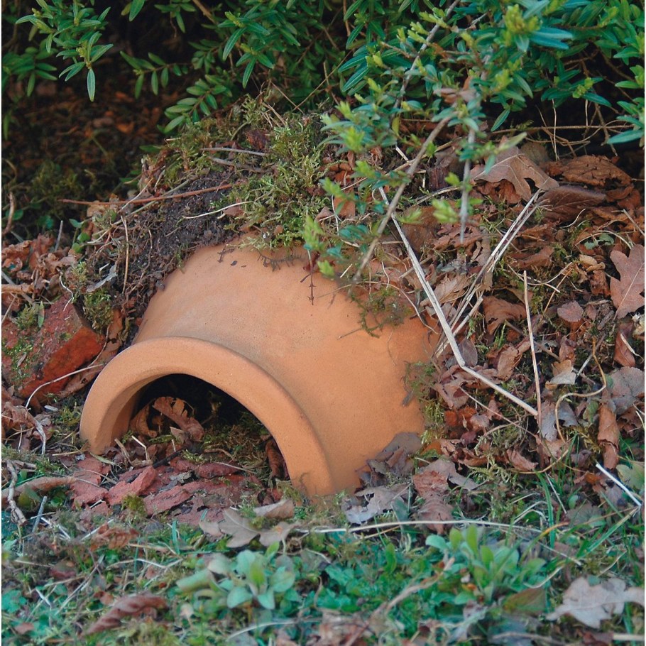 Домик для Ёжика на даче