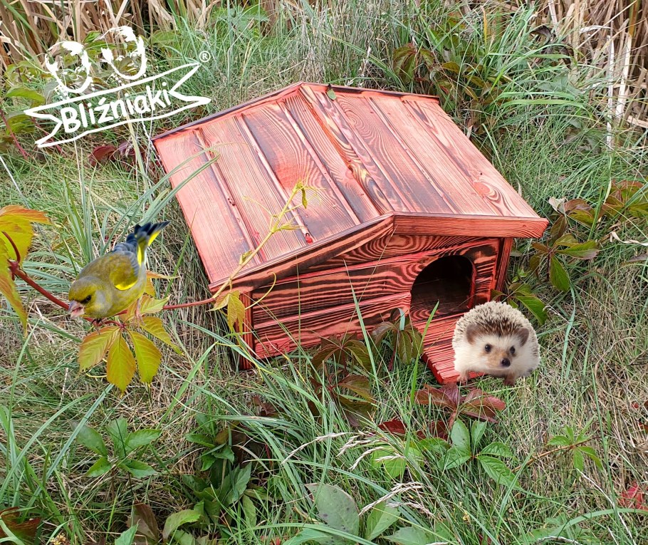 Домик для ежика африканского