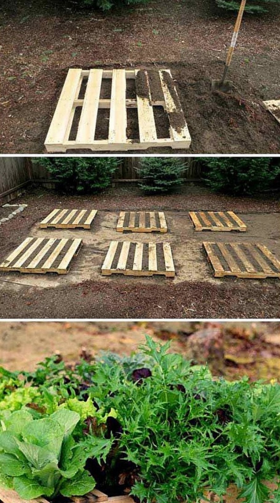 Грядки в поддонах