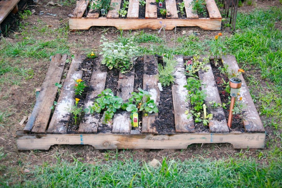 Поддоны для огорода