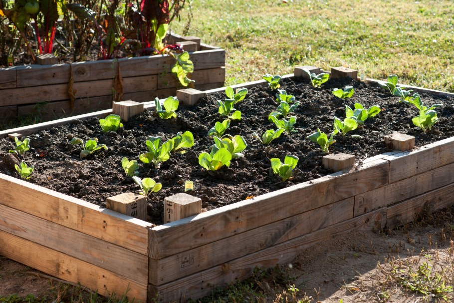 Грядки из поддонов