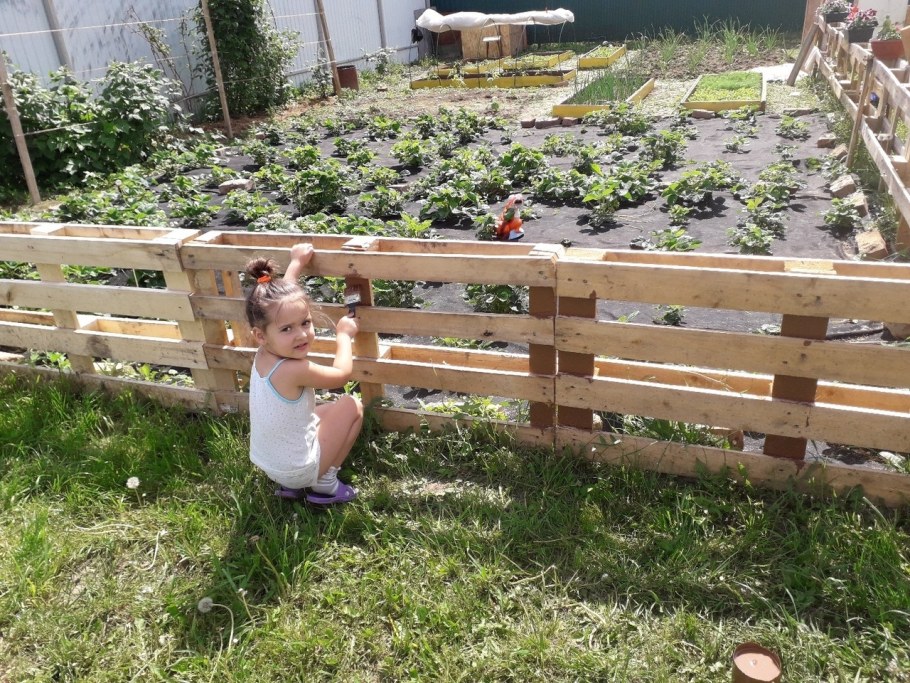 Забор из поддонов для огорода