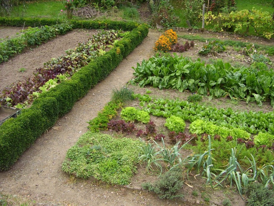 Красивый огород весной