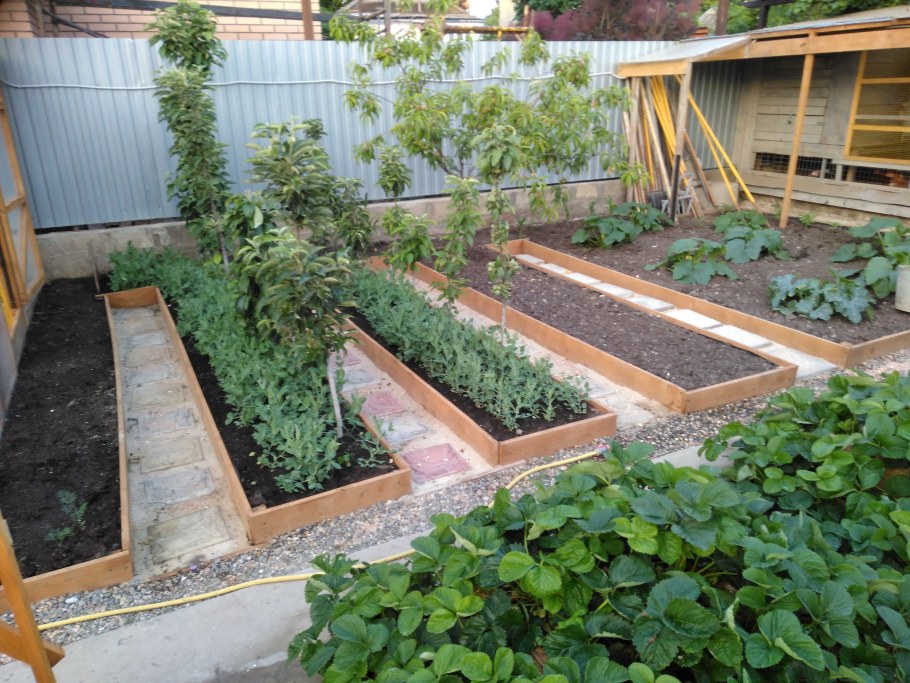 Умные грядки