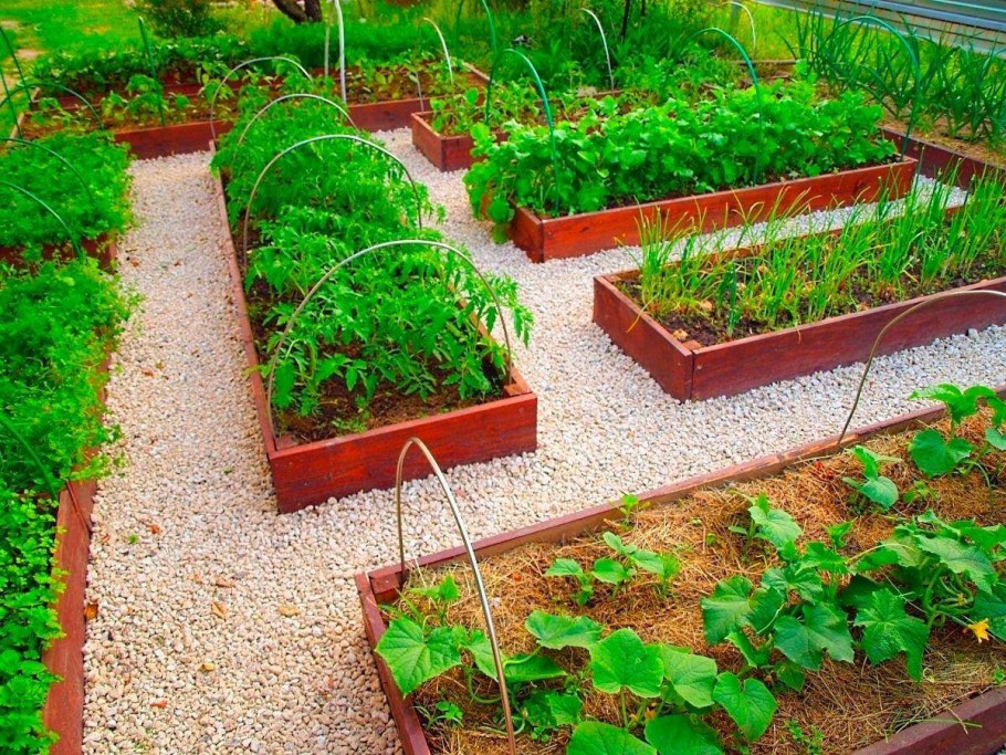 Обордюренные грядки