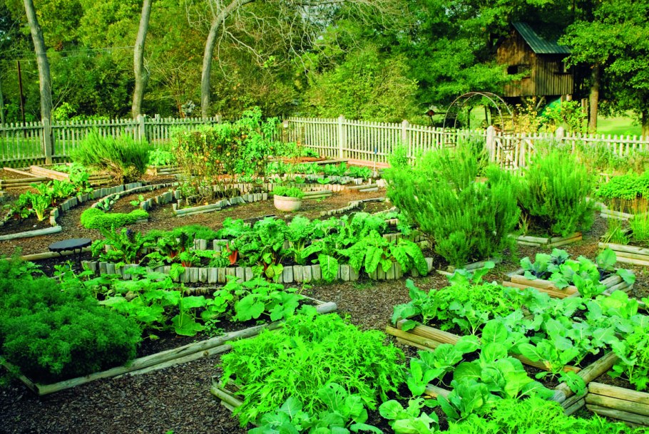 Планировка огорода