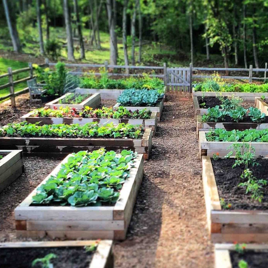 ЕВРООГОРОД грядки