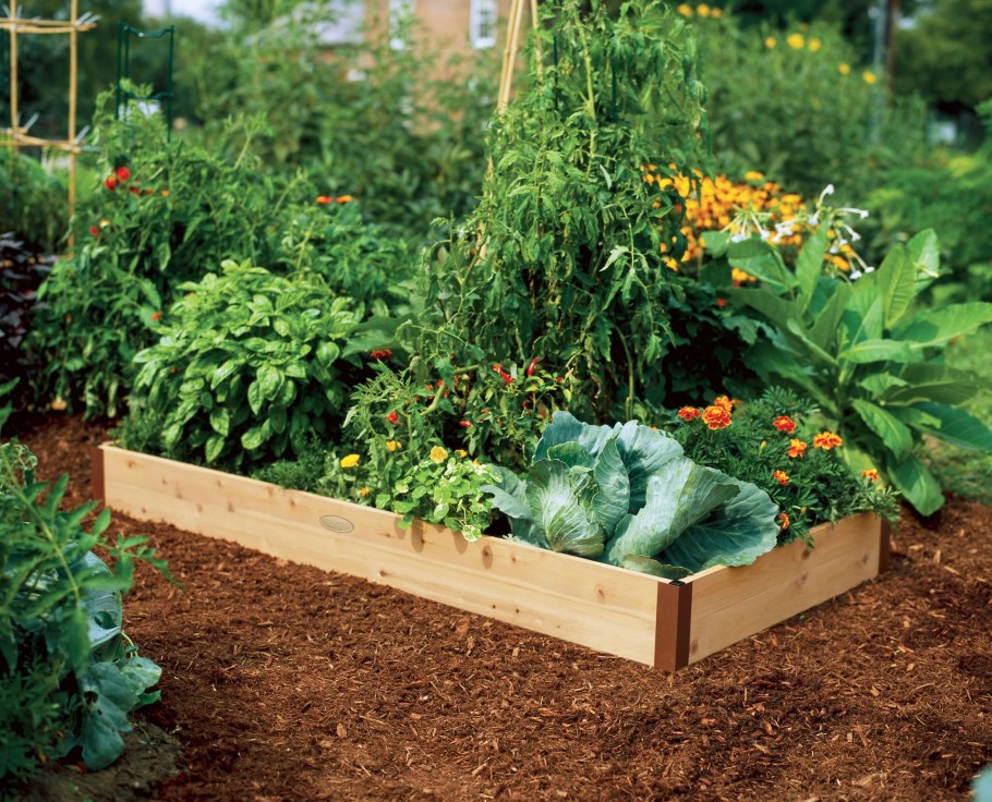 Приподнятые грядки