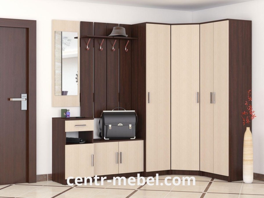 Прихожая Агата ясень шимо темный