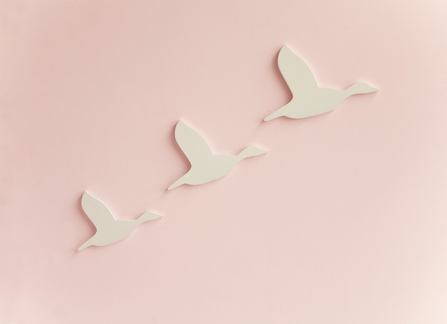 Птицы из смолы 3д