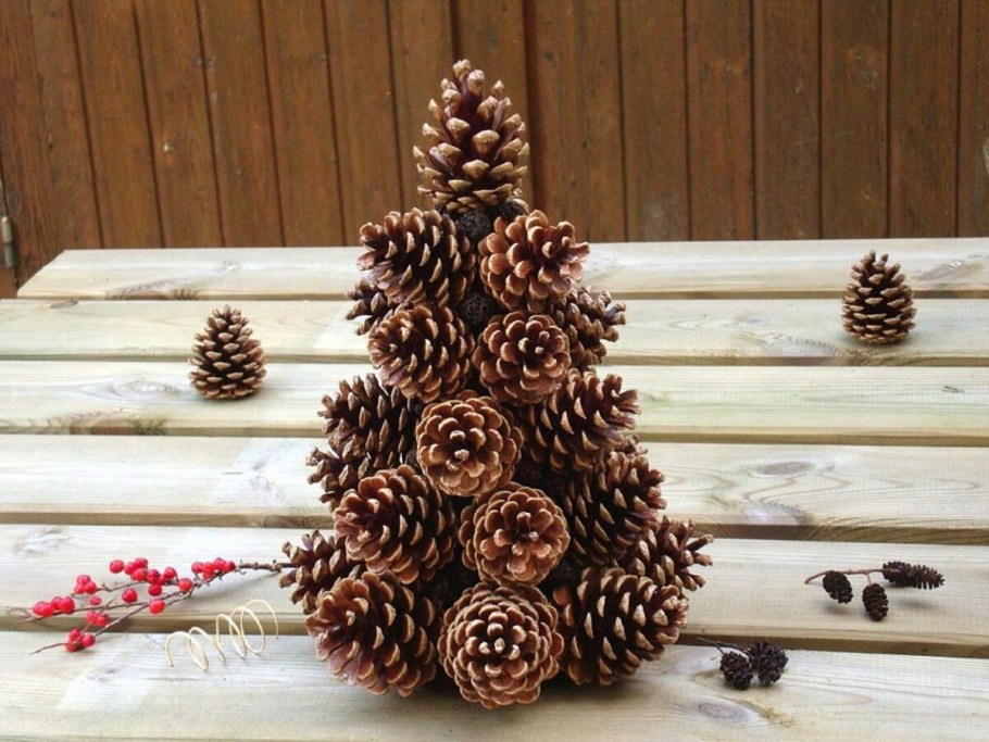 Арт объект шишка