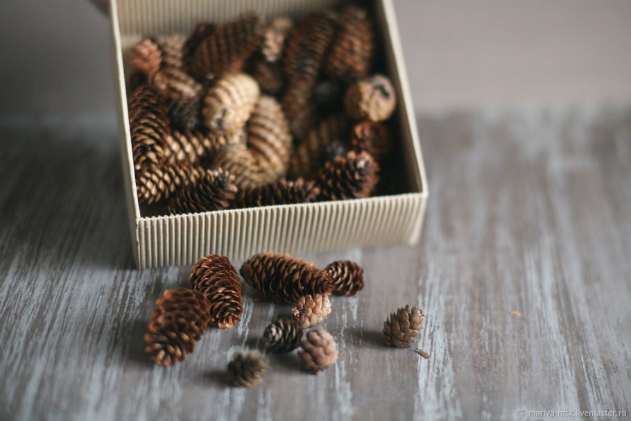 Декор клумбы шишками