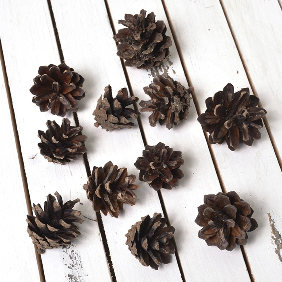 Шишки в интерьере