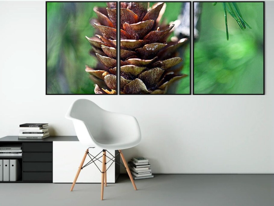 Хлеб из шишек сосновых