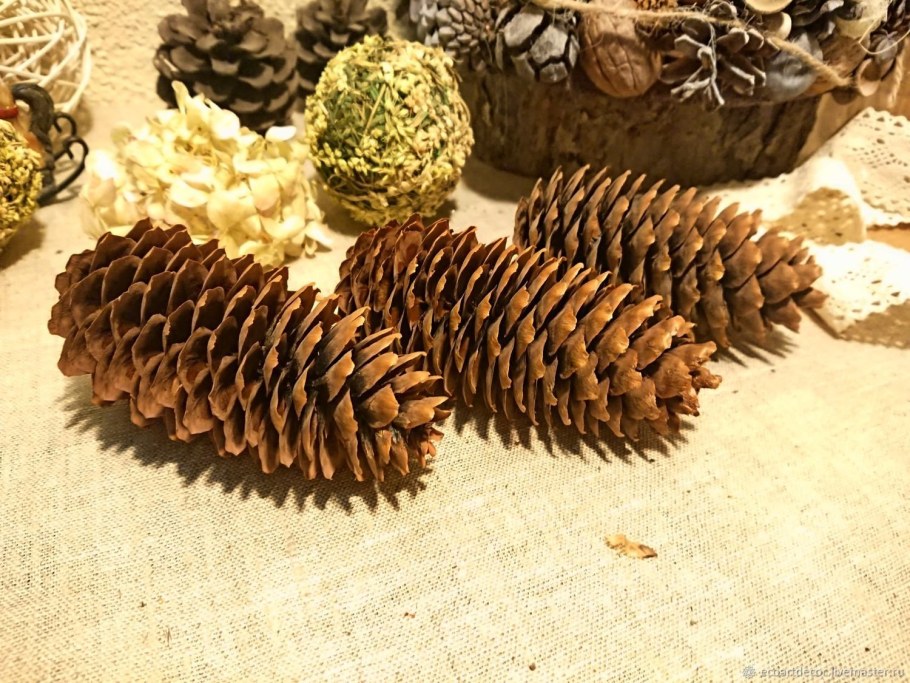 Декор из шишек