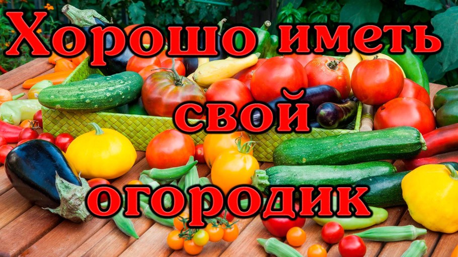 Дачные лайфхаки для дачи