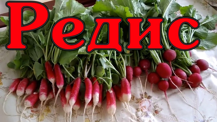 Палисадник в стиле Кантри