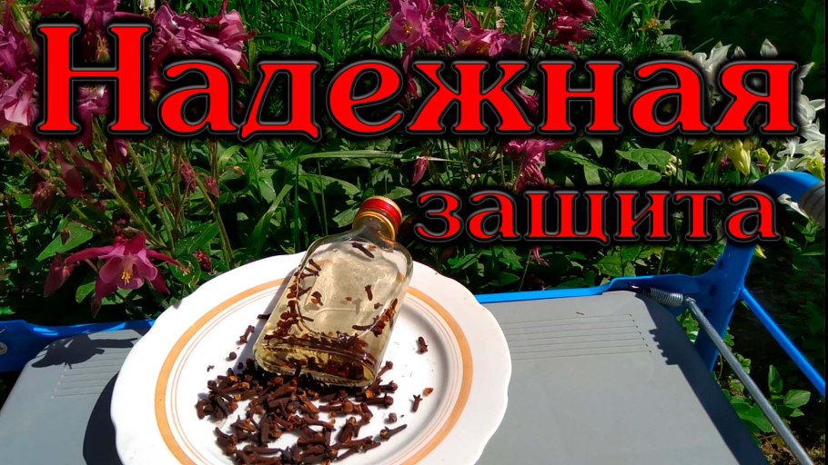 Мошки на даче