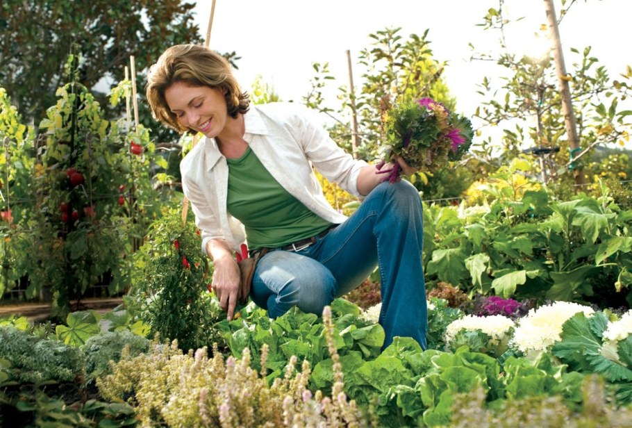 Оригинальные клумбы для цветов