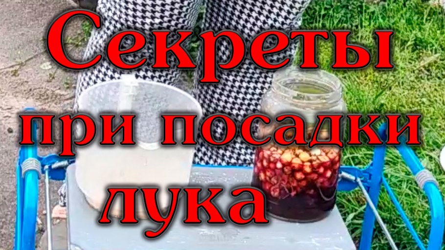 День дачника в России 23 июля