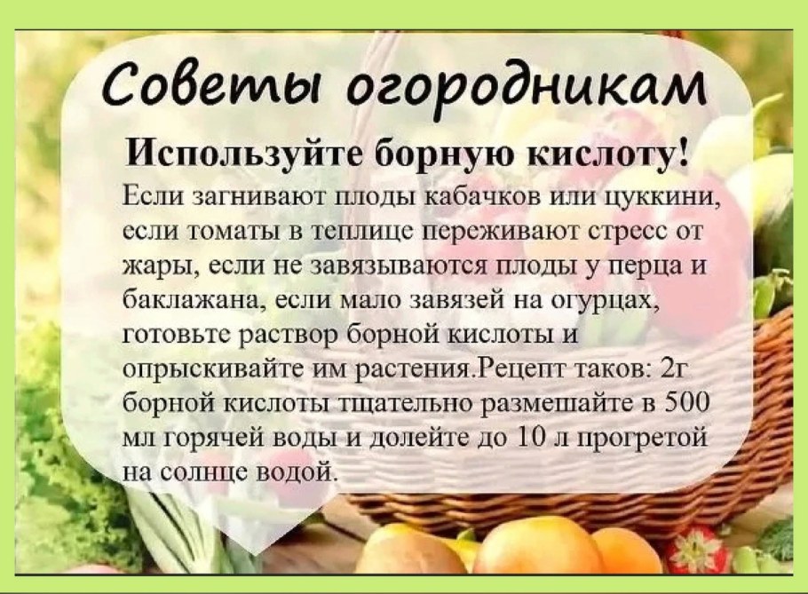 Дачные постройки