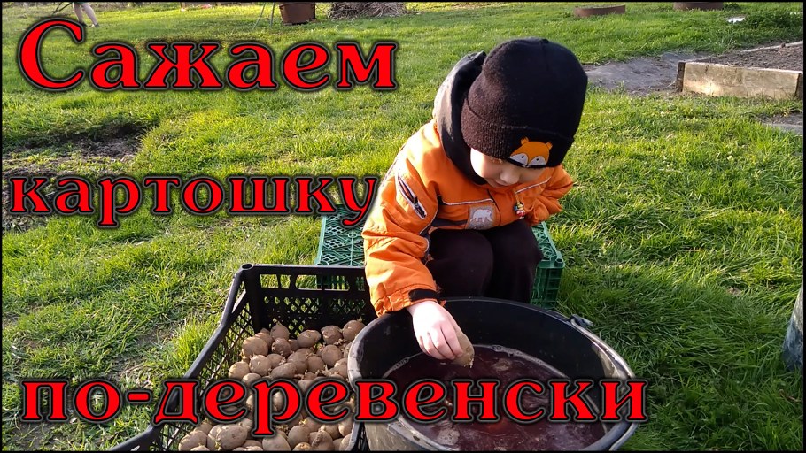 Жизнь на даче