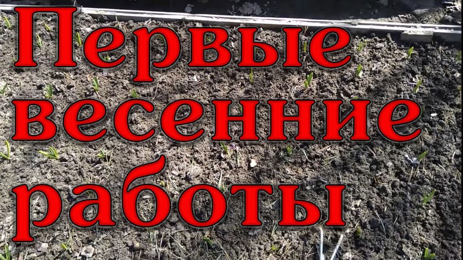 Девушка поливает цветы