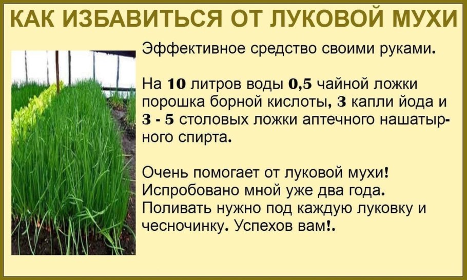 Декор дачного участка в деревенском стиле