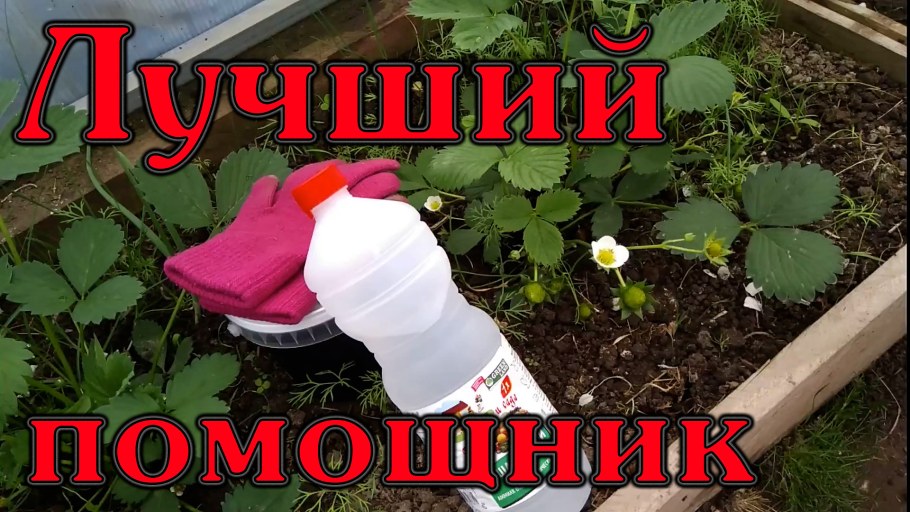 Лучший помощник на даче зимой