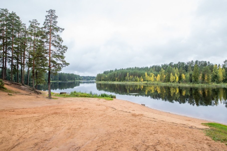 Александр Васильев квартира во Франции