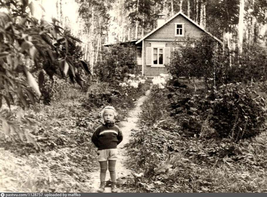 Карбюратор leader pz19jb