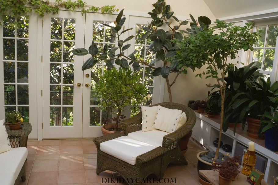 Напольные цветы в интерьере