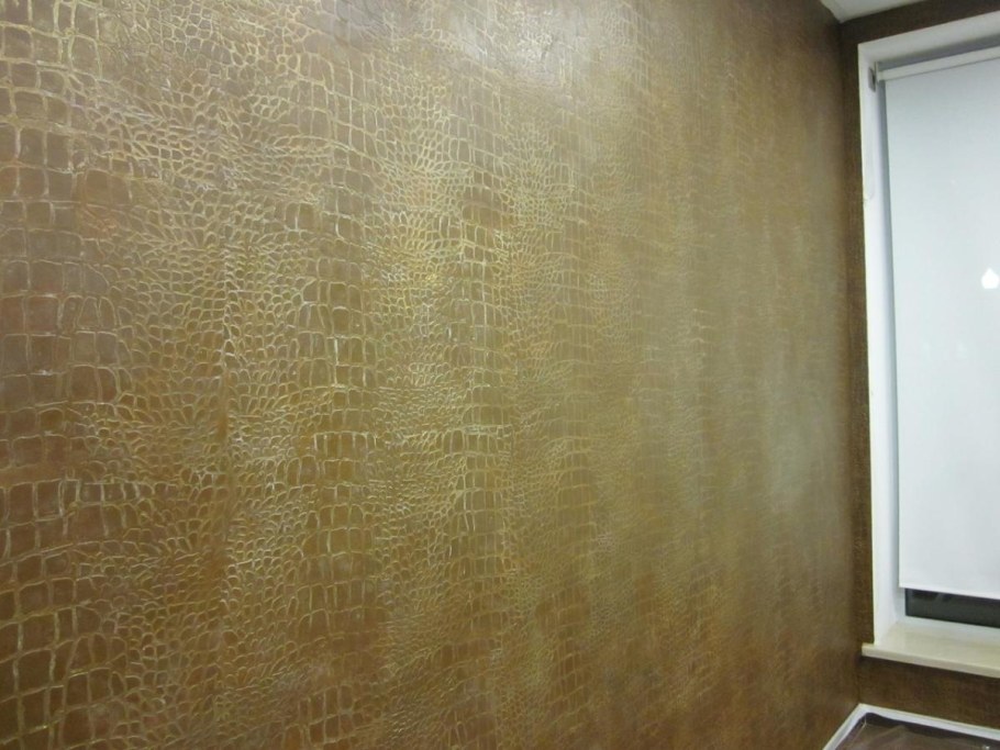 Короед венецианка