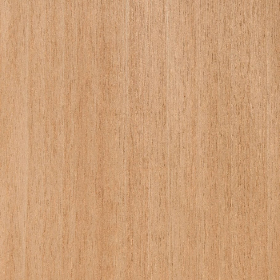 Бук текстура