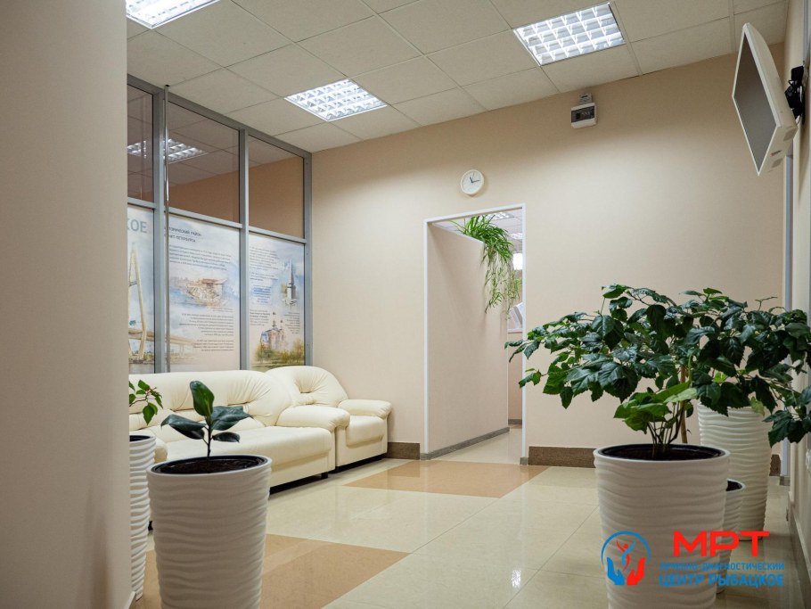 Рыбацкое Невский район