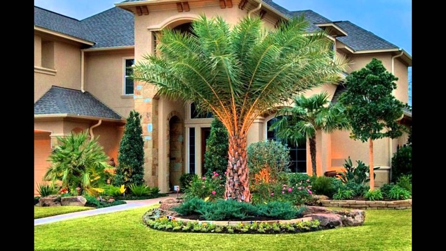 Пальма во дворе частного дома