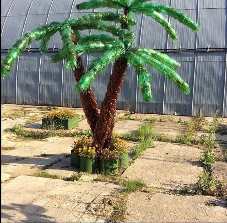 Пальма из пластиковых бутылок