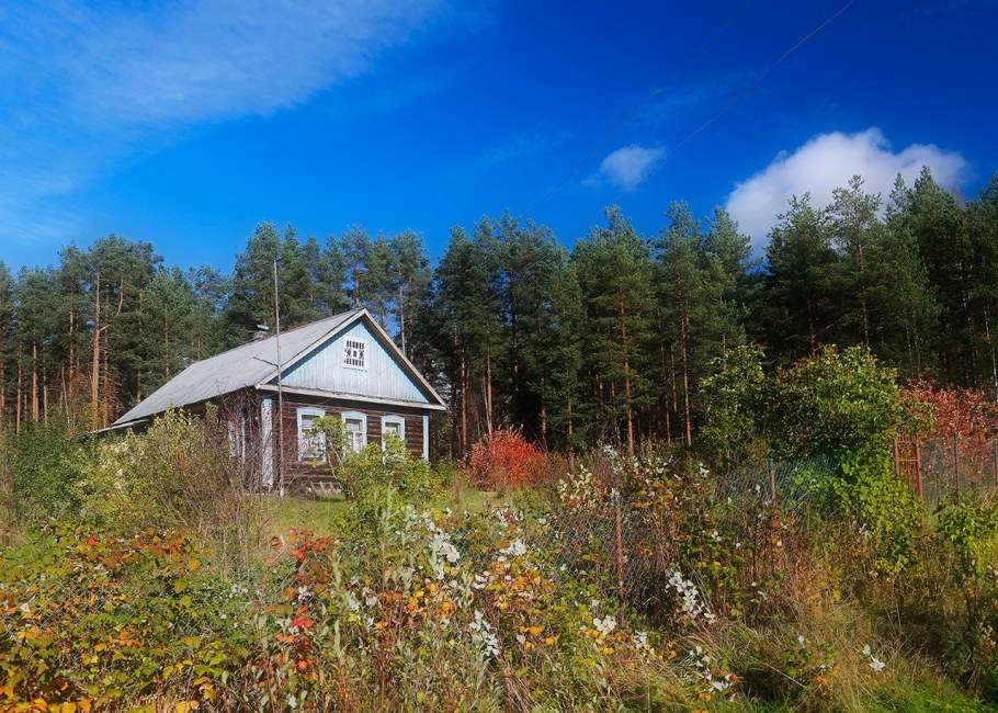 Деревня у леса