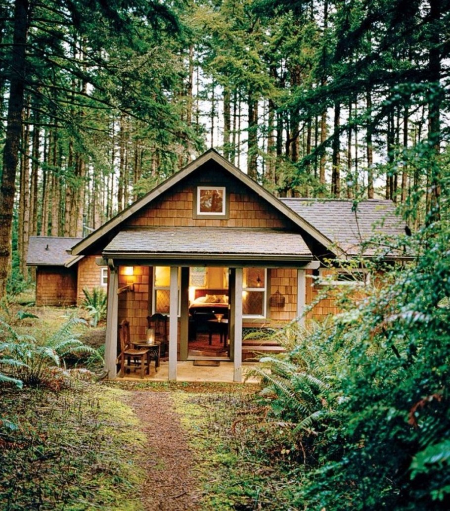 Forest House Хижина в лесу