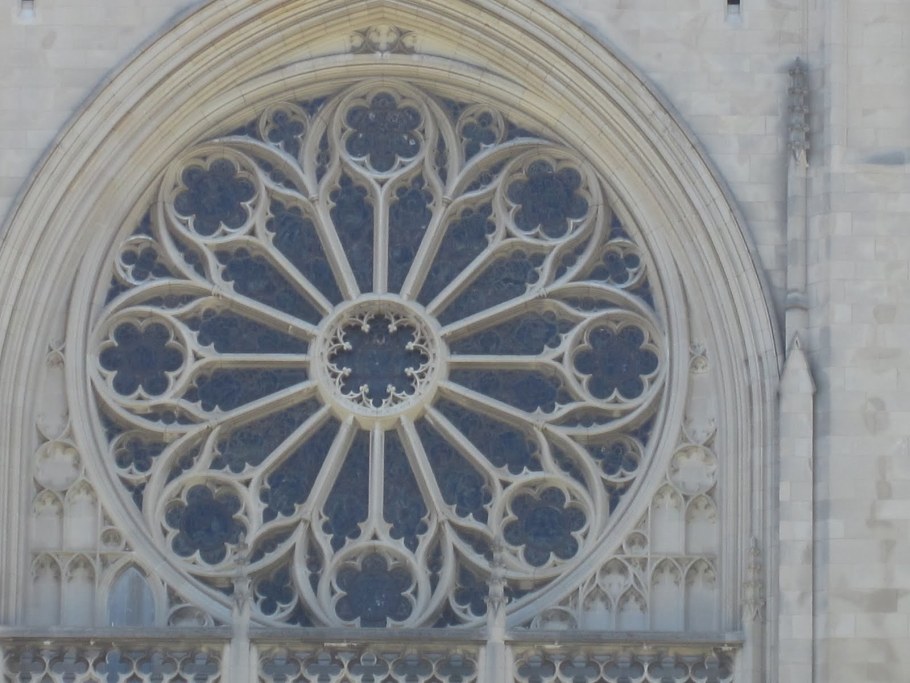 Розы Гвидо Гранди в архитектуре